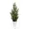 2.5ft. Mini Cedar Pine Tree in Decorative Planter
